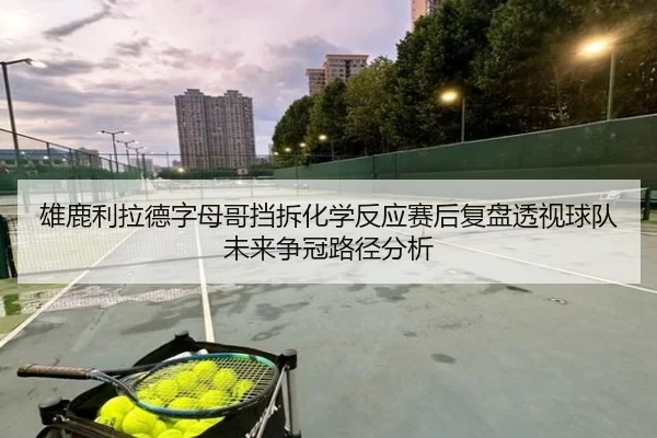 雄鹿利拉德字母哥挡拆化学反应赛后复盘透视球队未来争冠路径分析 | pg