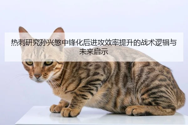 热刺研究孙兴慜中锋化后进攻效率提升的战术逻辑与未来启示 | pg
