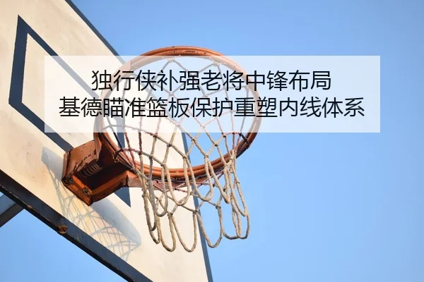 独行侠补强老将中锋布局 基德瞄准篮板保护重塑内线体系（pg）